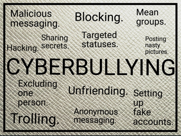 Cyberbullying in schools 