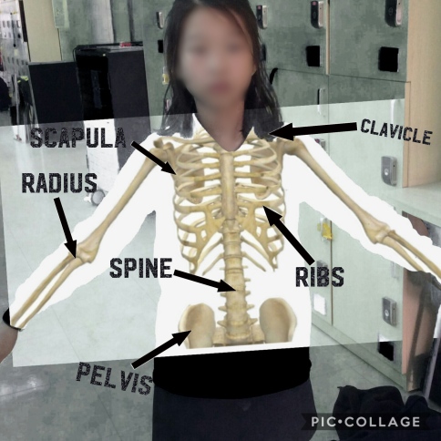 Green screen biology lesson