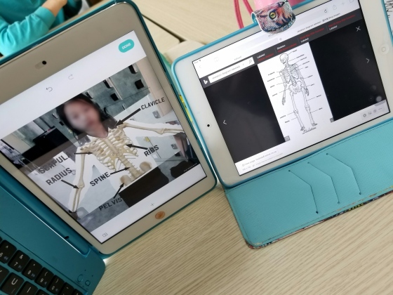 Green Screen & biology