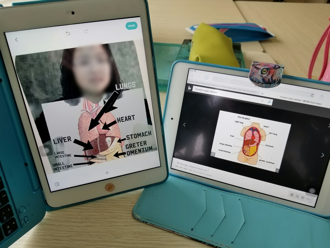 Green screen biology lesson