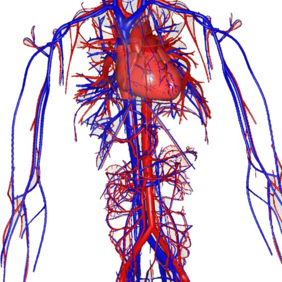 Green Screen & biology teaching