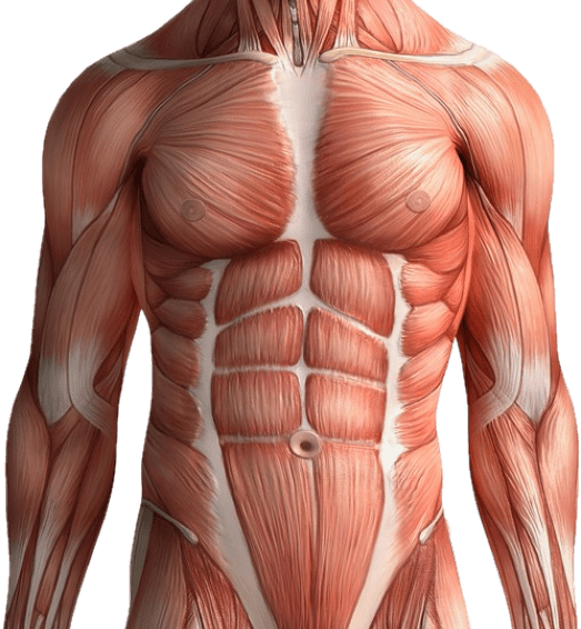 Green Screen & biology teaching