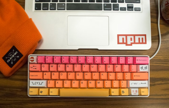 JavaScript for Kids: A Beginner’s Guide to Programming