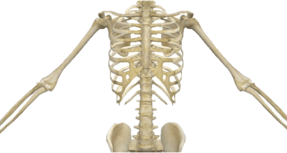 Green Screen & biology teaching